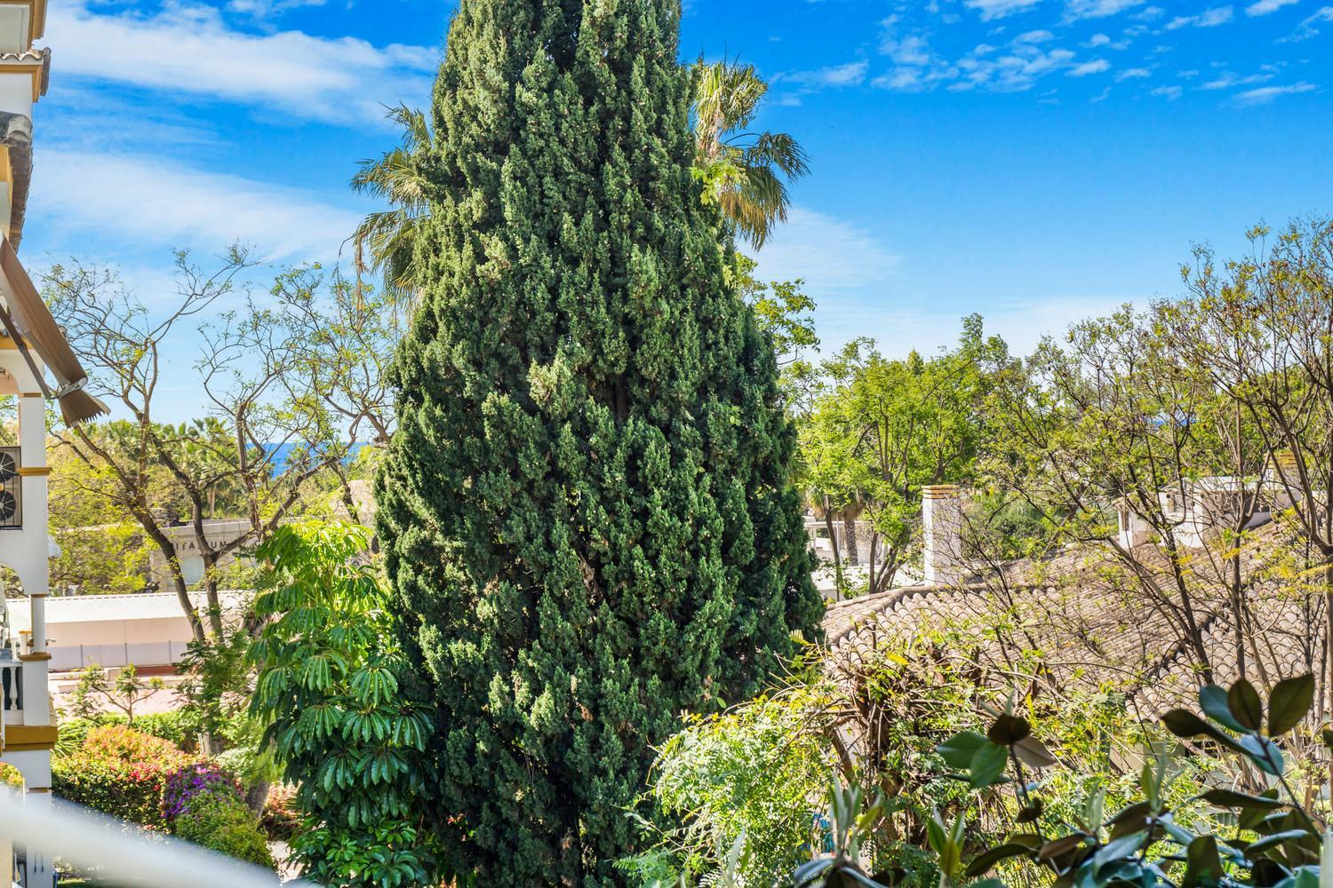 Apartment Hacienda De Nagueles - Golden Mile, Marbella